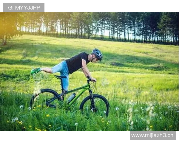 体育文化的传承与创新：塑造现代社会健康生活方式的动力源泉