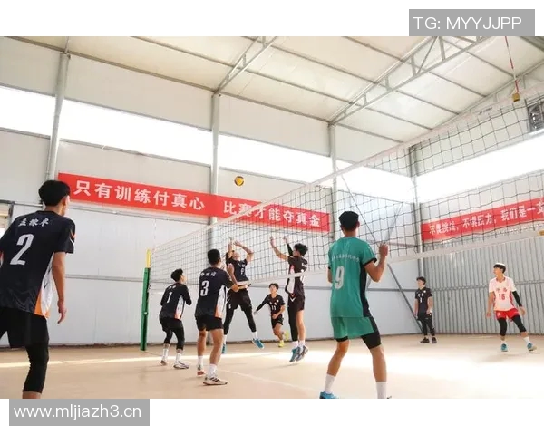 上海排球队个人能力分析与发展潜力探讨