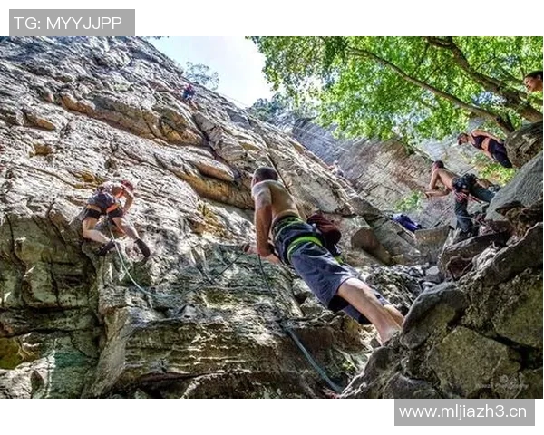 杭州攀岩队逆袭之旅揭示极限运动联赛背后的奋斗与荣耀