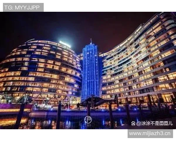 武汉飞盘队运营分析：成功经验与面临挑战的全面探讨