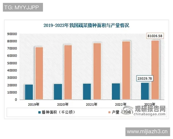 独家深度解析LNG耐力对比及其市场影响因素分析 独家深度解析LNG耐力对比及其市场影响因素分析